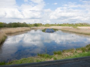 Carlton Hide