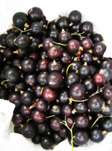 Blackcurrants