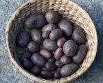 Basket of Shetland Black Potatoes
