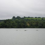 Daventry Country Park Looking Towards Borough Hill